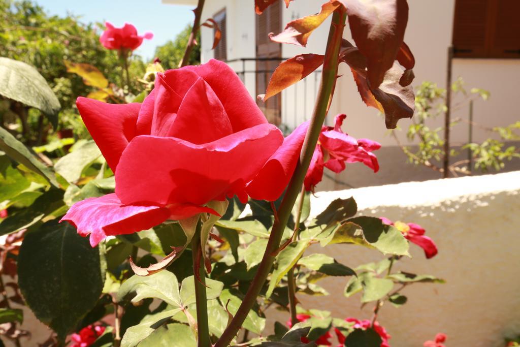 Μαϊστρέλι Aparthotel Στούπα Εξωτερικό φωτογραφία